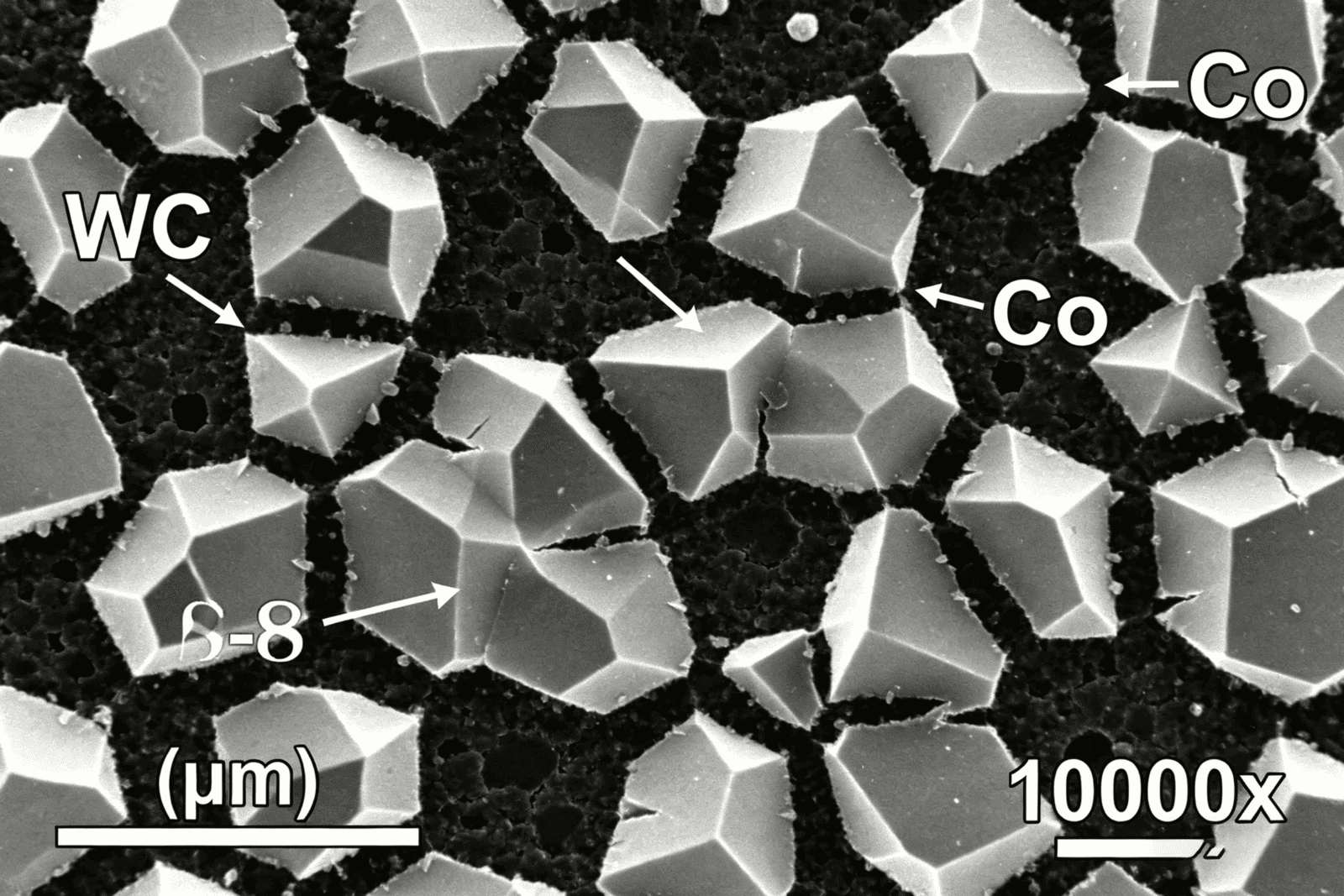 A microscopic view of carbide grain structure